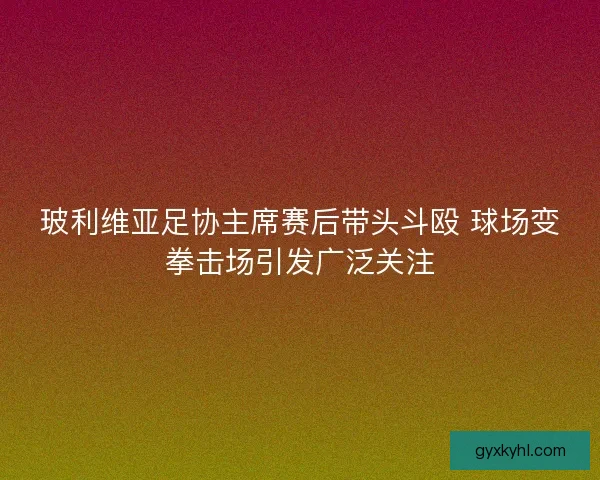 玻利维亚足协主席赛后带头斗殴 球场变拳击场引发广泛关注